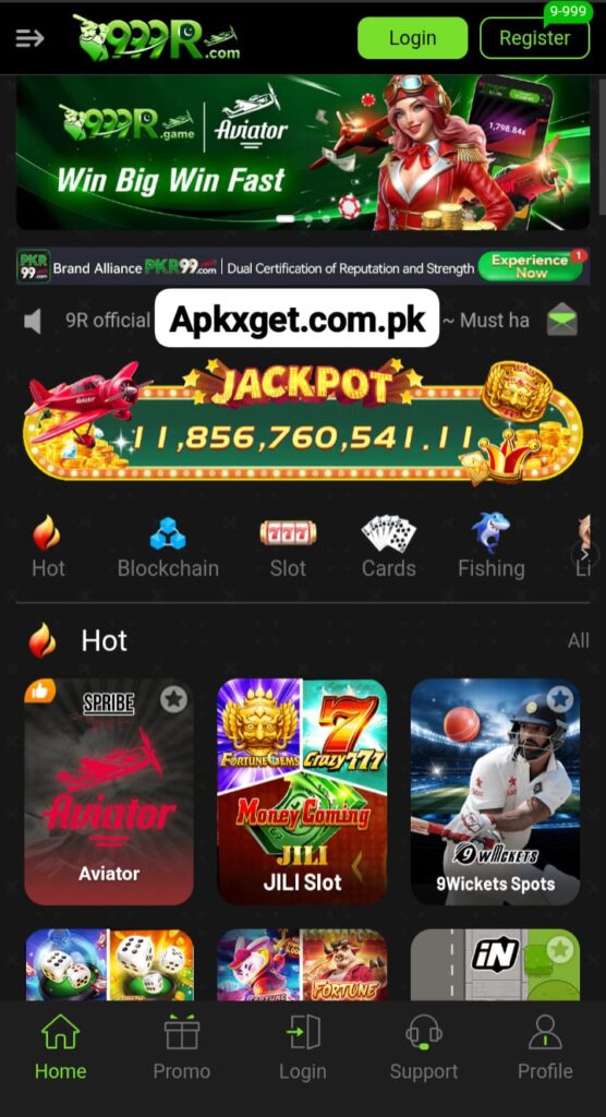 999R Game Download